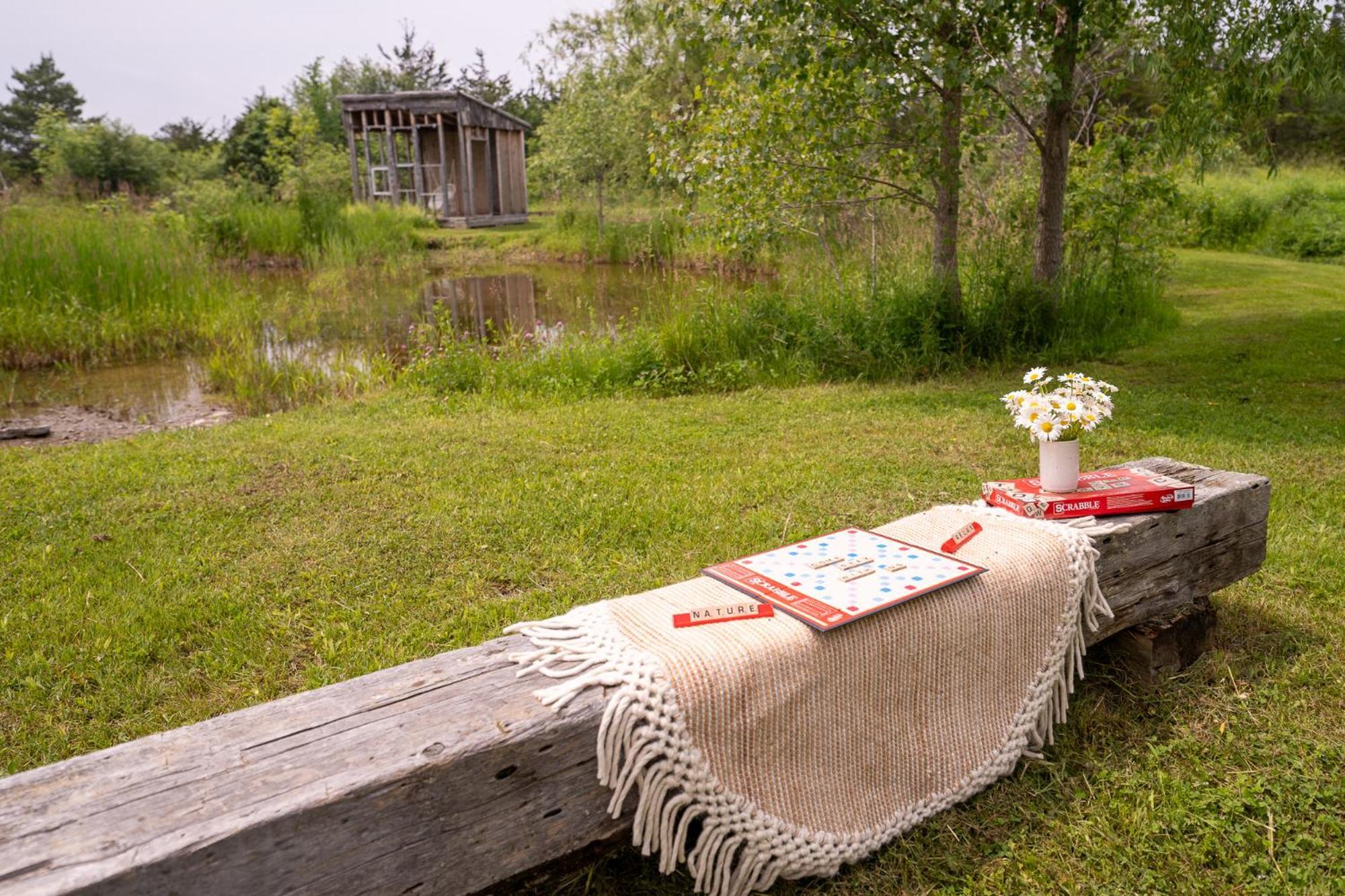 Owl'S Nest Suites Carrying Place Екстериор снимка